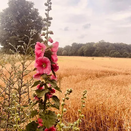 Le Clos De La Tour Frühstückspension